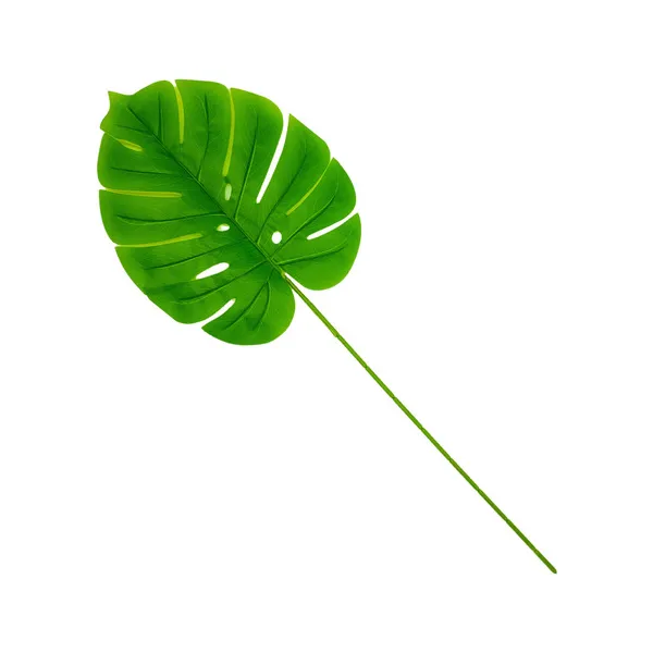 Planta Artificial Hoja Monstera Costilla De Adan Pack X10