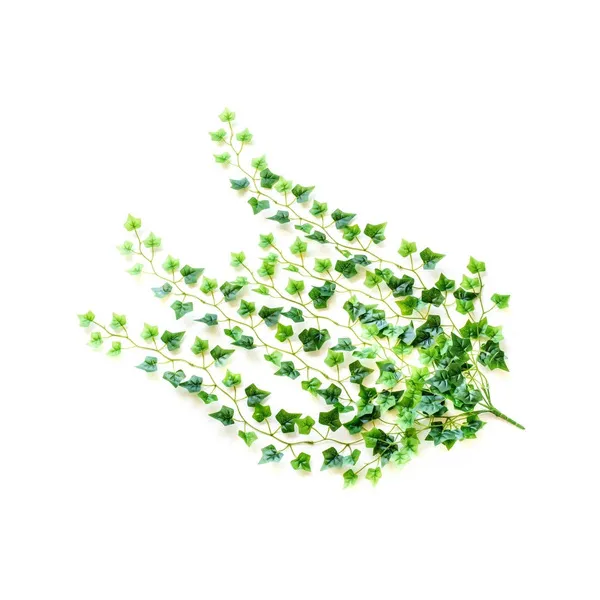 Jardin Vertical Ramo Enredadera Planta Deco X10u Diseño