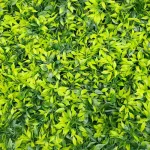 Jardin Vertical Artificial Panel Verde Cesped X15u Decorar