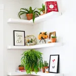 Enredadera Jardin Vertical Deco Ramo Plantax5unidades Diseño