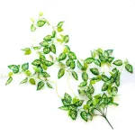 Enredadera Jardin Vertical Ramo Deco Pack X3 Unidades Diseño