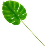 Planta Artificial Hoja Monstera Costilla De Adan X5 Diseño