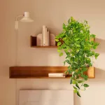 Enredadera Jardin Vertical Ramo Deco Pack X3 Unidades Diseño