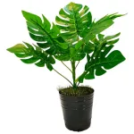 Jardin Vertical Artificial Ramo Planta Deco Para Maceta