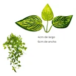 Enredadera Jardin Vertical Ramo Deco Pack X20 Diseño