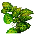 Jardin Vertical Artificial Planta P/ Maceta X10u Diseño