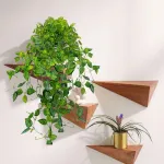 Enredadera Jardin Vertical Ramo Deco Pack X5unidades Diseño