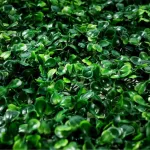 Jardin Vertical Artificial Muro Verde X50u Interior Exterior
