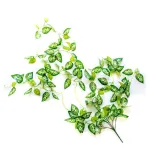 Enredadera Artificial Jardin Vertical Ramo Deco Planta