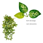 Enredadera Jardin Vertical Ramo Deco Pack X3 Unidades Diseño