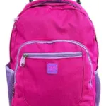 Mochila Carrito Carro Escolar Reforzada Telescopica
