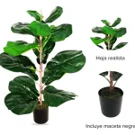 Planta Artificial 60cm Ficus Decoracion Interior Exterior Color Verde Oscuro