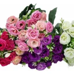 Ramo Mini Rosa Rococo Flores Artificiales 30cm Decoración X1