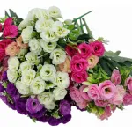 Ramo Mini Rosa Rococo Flores Artificiales 30cm Decoración X1