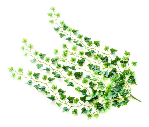 Producto Jardin Vertical Ramo Enredadera Planta Deco X10u Diseño Imagen