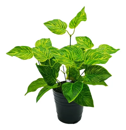 Producto Jardin Vertical Artificial Ramo Planta Decox5unidades Diseño Imagen