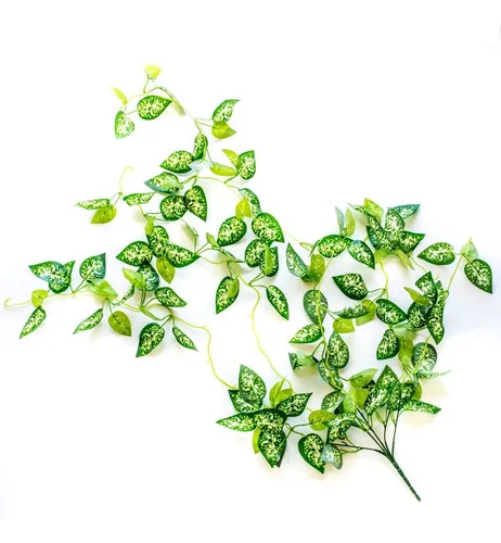 Producto Enredadera Jardin Vertical Ramo Decoración Pack X10 Unidades Imagen